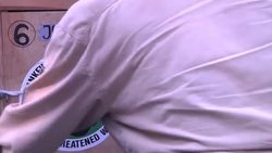 Saving one of the world's rarest mammals Instructional Video