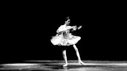 art of ballet Stock Footage