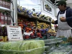 VOICED: Gardens spring up on New York rooftops News Clip