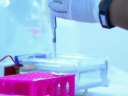 Scientist and bio lab experiment Stock Footage