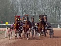 WS SLO MO Horse racing with French Trotter, Harness racing at Racecourse / Caen, Normandy, France Stock Footage