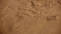 Puddle, mud, abstractions Stock Footage