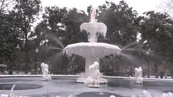 US Winter storm brings snow to Georgia and Florida News Clip