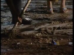 Tsunami Hits South East Asia News Clip