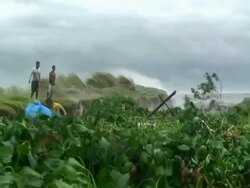 Men walking on floating vegetation in storm waves retrieving belongs during typhoon Mirinae, Cupang, 2009 Stock Footage