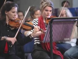 Violinists in harmony Stock Footage