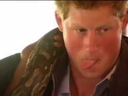 Princes William and Harry meet a python News Clip