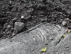 Old lava flow in Hawaii Stock Footage