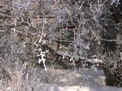 Snowing House Stock Footage