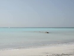 Caribbean seascape waves Stock Footage