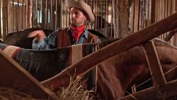DS Cowboy putting a saddle pad on horse in stall Stock Footage