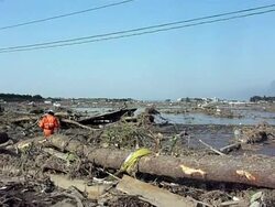 CLEAN: Images of Rokugo - devasted by the Tsunami News Clip