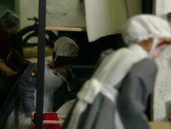 Miniaturised late Victorian scene, laundry, Dolls house, Leonardslee Gardens, West Sussex, UK Stock Footage