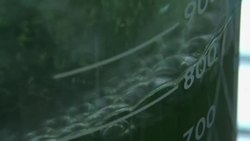 How green algae could clean up greenhouse gases News Clip