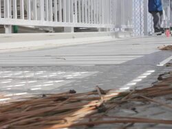 Kids On Scooters Stock Footage