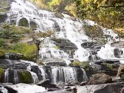 Dolly Shot: Cascade Waterfalls in Tropical Rainforests Stock Footage