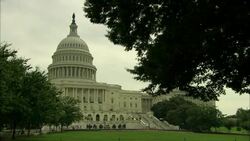 Capitol building and Park, tree branches in foreground Stock Footage