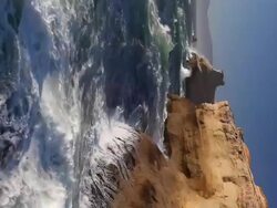 Oregon Coast - vertical Stock Footage