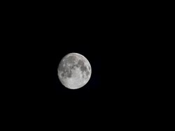 Full moon Stock Footage