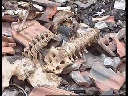 KOSOVO: DJAKOVICA: FBI GATHERING WAR CRIMES EVIDENCE News Clip