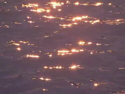 Sunlight reflects off waves on a river. Stock Footage