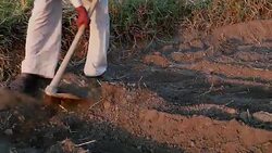 Farmer working in the field using hoe Stock Footage