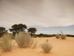 Timelapse heavy cloud over sand dune as dusk falls, Kalahari, South Africa Stock Footage
