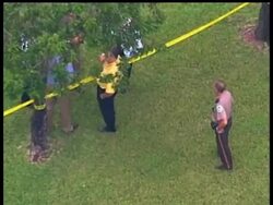 DVS Taylor Death (Replace2) News Clip