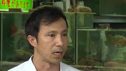 VOICED : Ocean threat from Hong Kong's taste for seafood News Clip