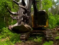 Full shot of feller buncher as it opens and closes, and begins to saw a tree. Stock Footage