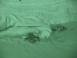 Vampire bats chew on the feet of a sleeping man. Stock Footage