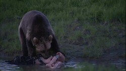 A bear gnaws on a dummy in a river. Stock Footage