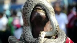 VOICED : Haiti disfruta su Carnaval News Clip