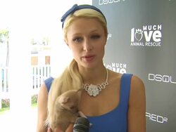 INTERVIEW: Paris Hilton on being a part of the afternoon... (Footage by WireImage Video/GettyImages) Stock Footage