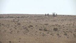 Israeli solder and three alleged militants killed in firefight on Egyptian border News Clip