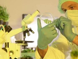 Genetic Research - chlorophyll Stock Footage
