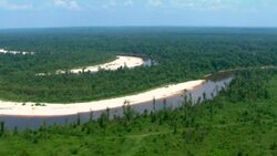 Sandbars and dense forest line the banks of the Mississippi River. Stock Footage