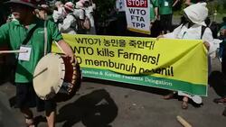 CLEAN : Protests at WTO conference in Bali News Clip