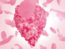 Valentines Heart  (Loopable) Stock Footage