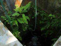 Taking water from a well Stock Footage