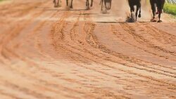 Horse Racing Stock Footage