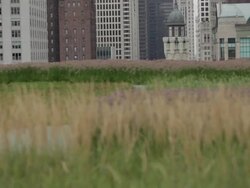 Focus in and out on foreground of rooftop urban garden Stock Footage