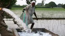 Irrigation Stock Footage
