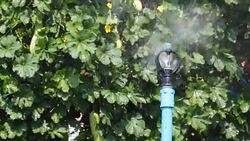 irrigation sprinkler spraying water in the garden Stock Footage