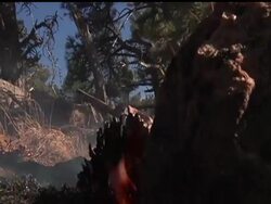 Air tankers and ground crews battle a wind-whipped fire in Golden, Colorado Tuesday as officials warned that eastern Colorado's worst drought in nearly a decade makes that part of the state vulnerable to more burning. News Clip