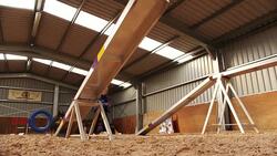 Dog on  Agility Test Stock Footage