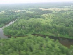 WS AERIAL View of Mississippi river / Lake Itasca, Minnesota, United States  Stock Footage