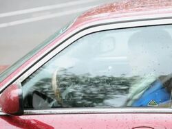 MS TU TS Women with umbrellas emerging from car / Portland, Oregon, USA Stock Footage
