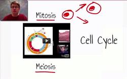 Genetics Preview Instructional Video