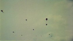 Garwin: The Independent "Professors of War" During Vietnam Instructional Video